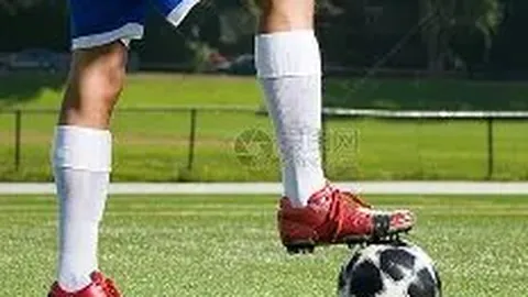 河北体育学院引领省新型足球学校建设成效显著